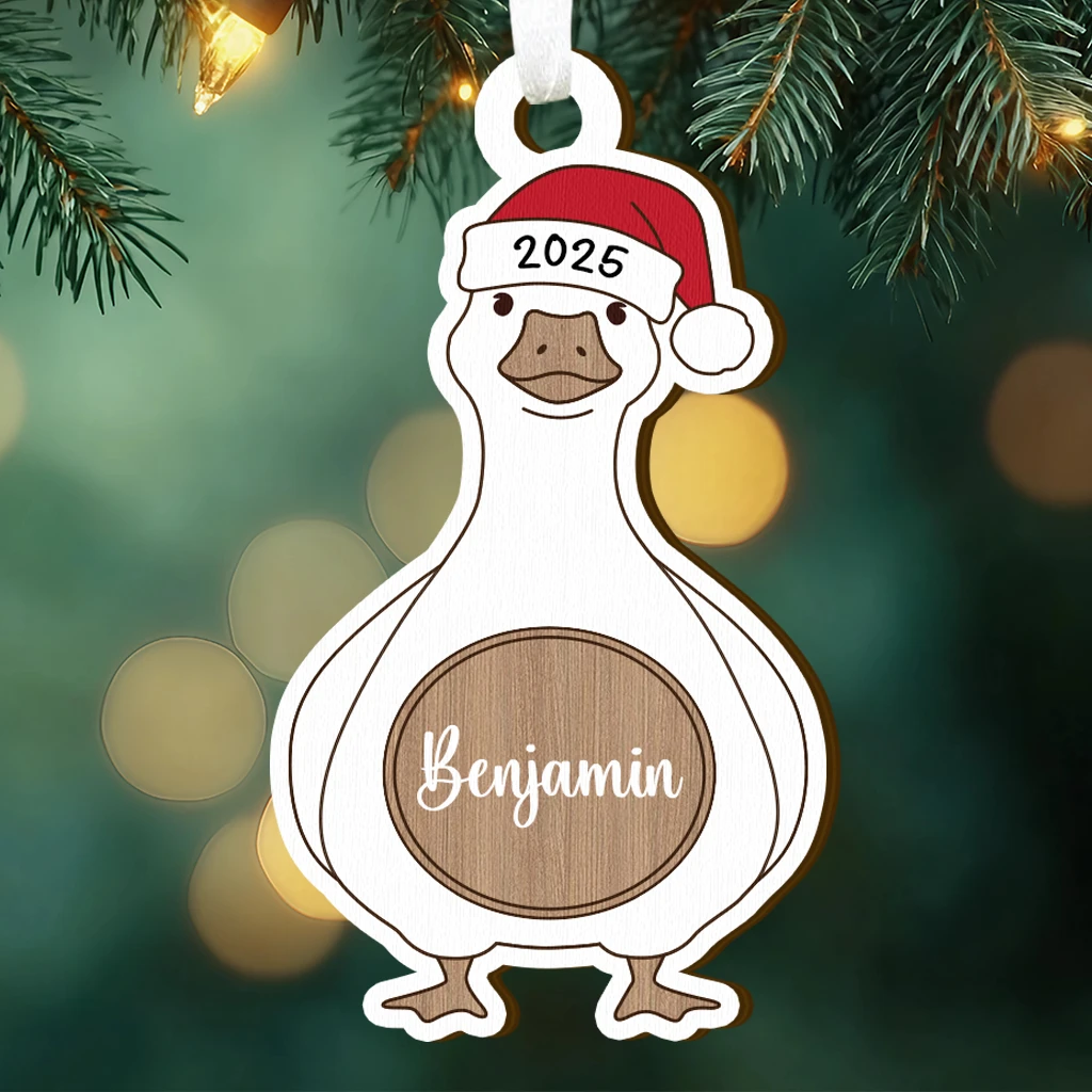 Custom Name Goose Wearing Santa Hat Ornament, Farmhouse Christmas Decor, Cute Bird Lover Gift, Engraved Goose Keepsake 2025