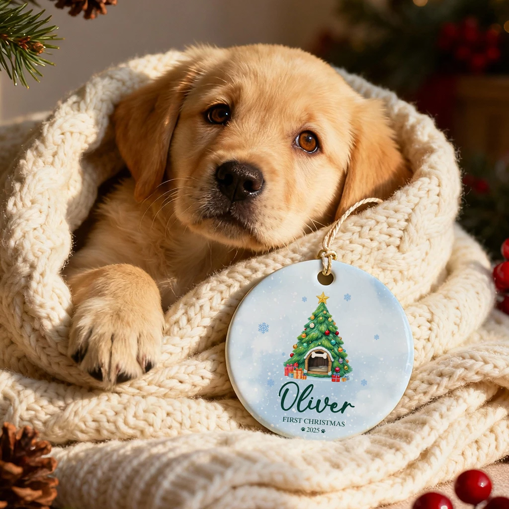 First Christmas Cozy Pet House Ornament